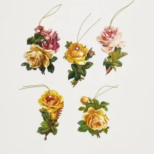 Etiquetas Rosas