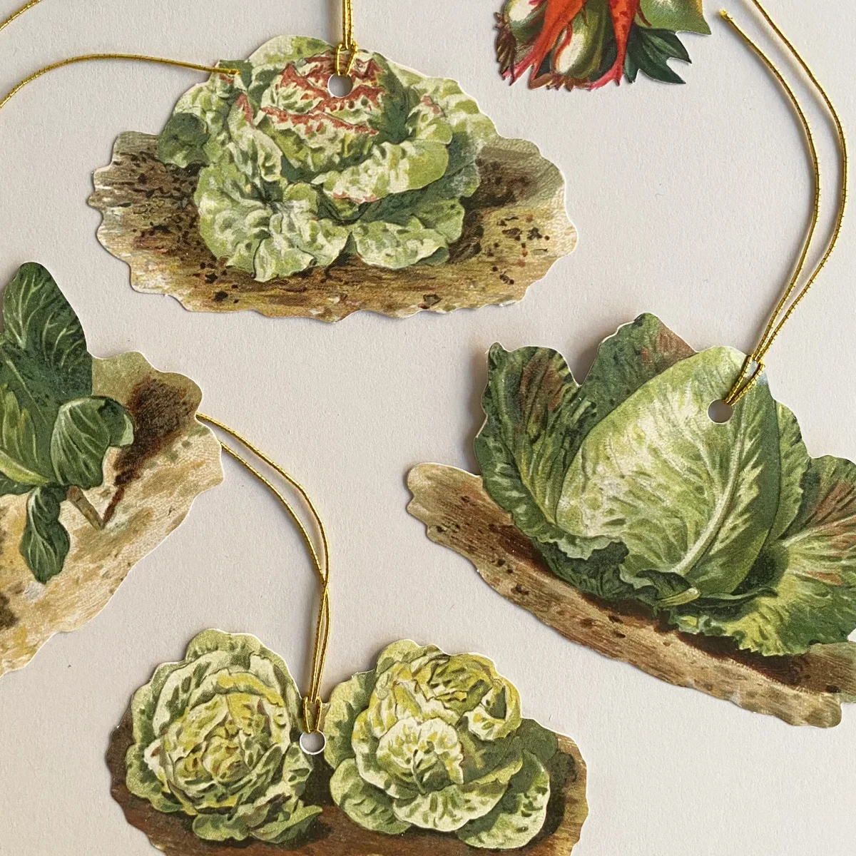 Etiquetas legumes - Image 3